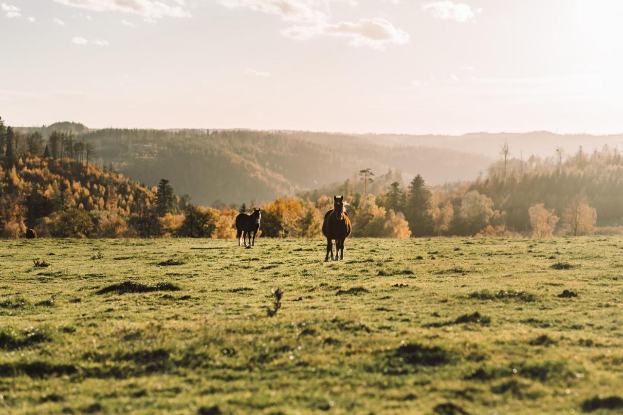 Farma Klokocov Villa Vitkov Buitenkant foto